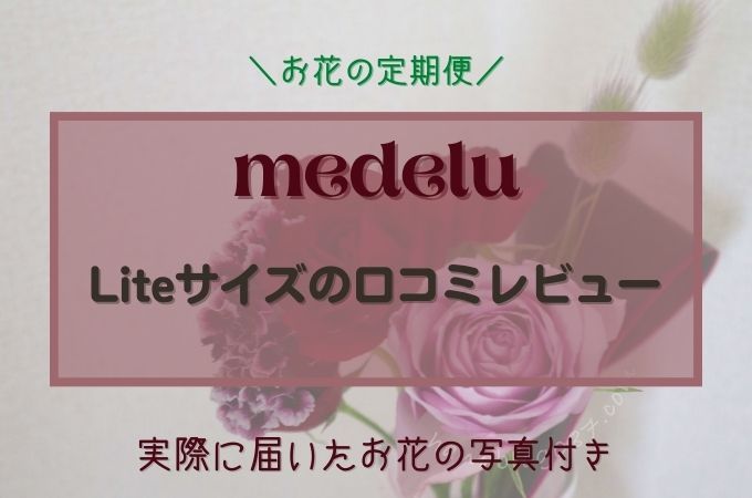 Medelu メデル のliteサイズを実際に利用した口コミレビュー 初回割引クーポン付