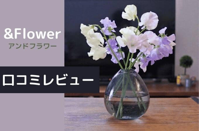 【アンドフラワー(&Flower)の口コミ・評判】他のお花の定期便と何が違う？