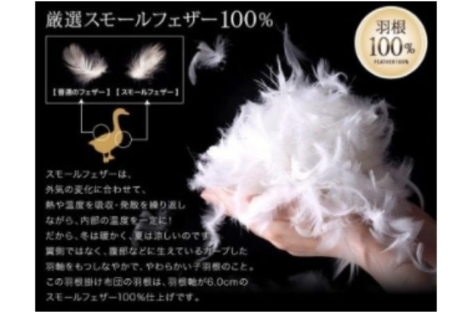 スモールフェザーの羽毛100％
