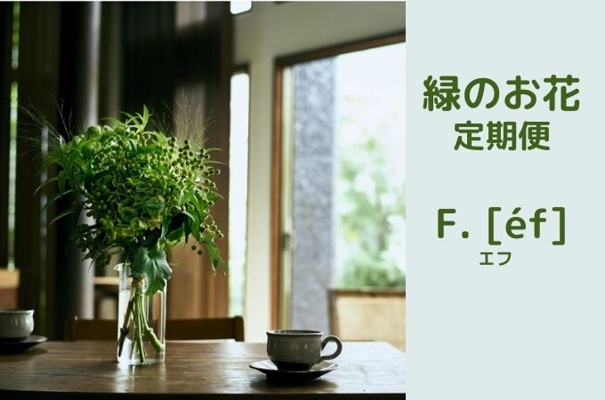 緑のお花をおしゃれに飾りたい！毎月届く定期便F. [éf]（エフ）の口コミ・評判