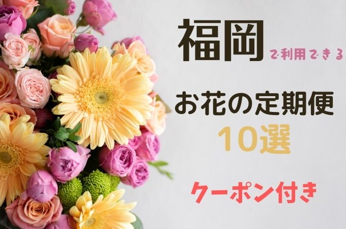 福岡で利用できるお花の定期便10選！実際サブスクを利用して比較してみた