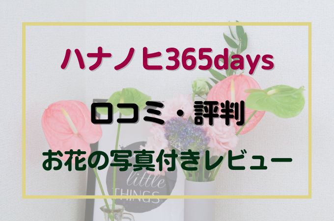お花のサブスク「ハナノヒ365days」の口コミ・評判レビュー